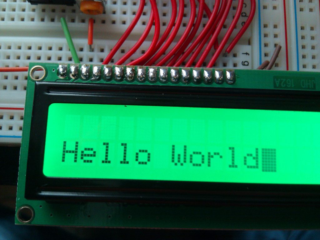 hola mundo
